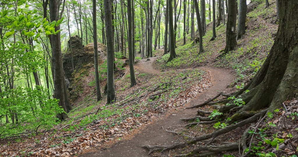 #500 • 2019. 04. 28. • Pilisszentkereszt: Dobogókő – Dömös:&nbsp;Magas-hegy