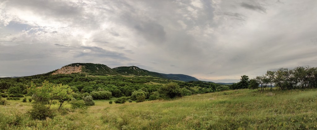 #508 • 2019. 06. 23. • Kesztölc összes (még befutatlan) #3