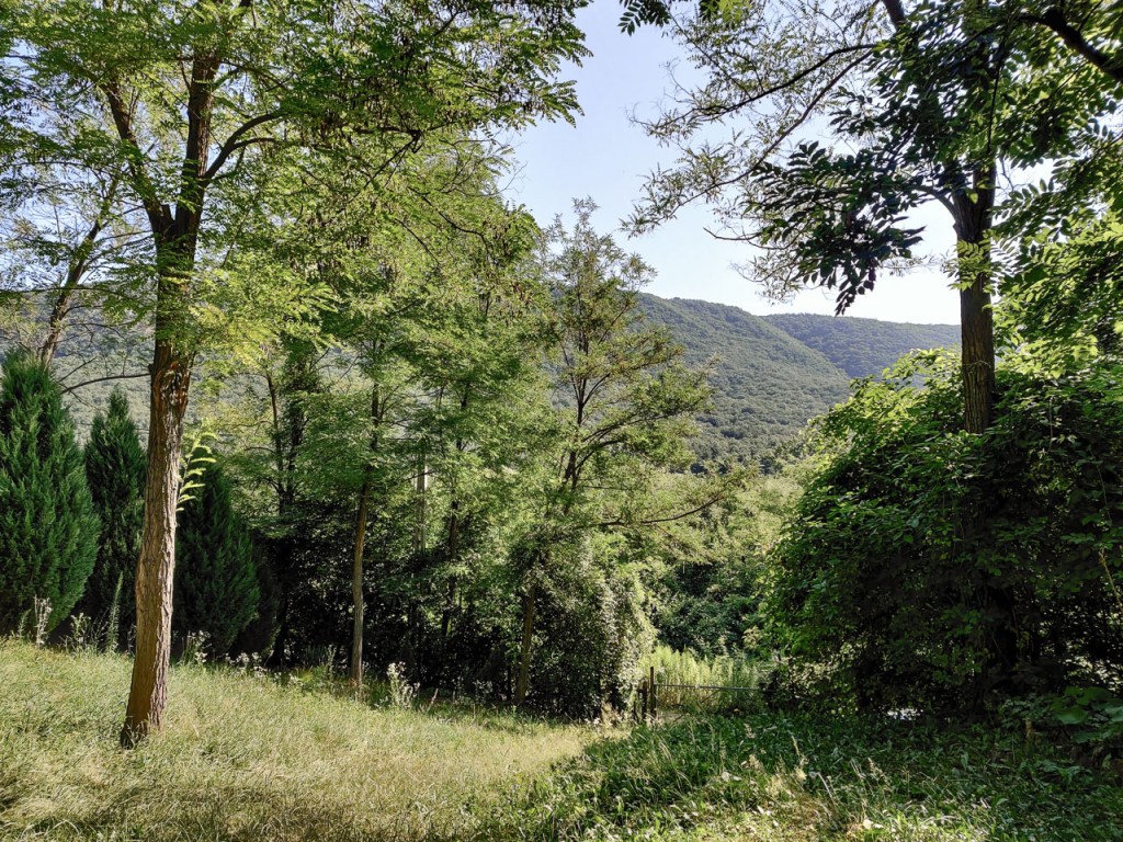 #514 • 2019. 07. 16. • Kesztölc, Cimbivel