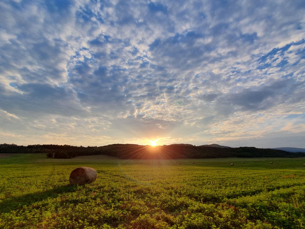 #516 • 2019. 07. 20. • Kesztölc összes (még befutatlan) #5