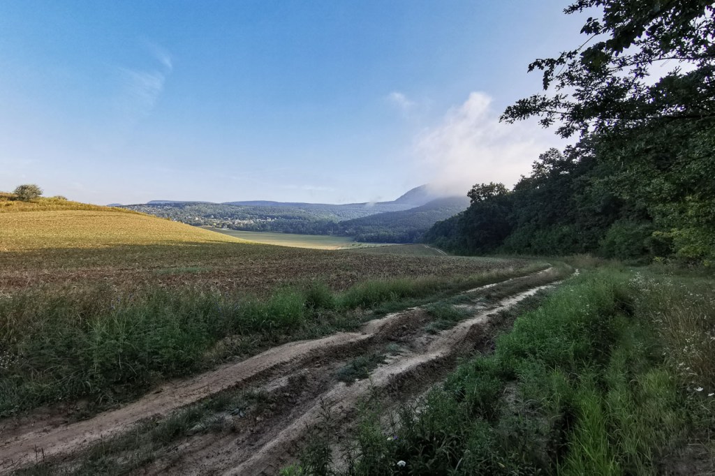 #524 • 2019. 08. 17. • Piliscsév: Tetős-hegy,&nbsp;Bárány-hegy