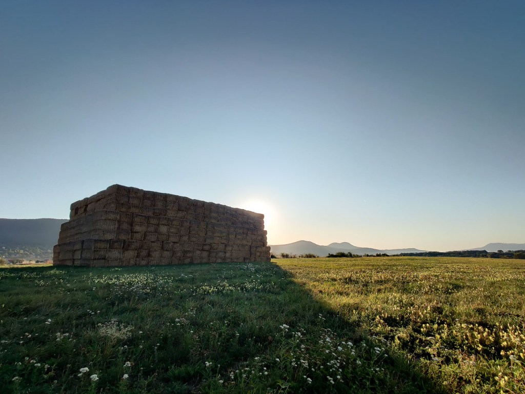 #530 • 2019. 09. 22. •&nbsp;Pilisszántó