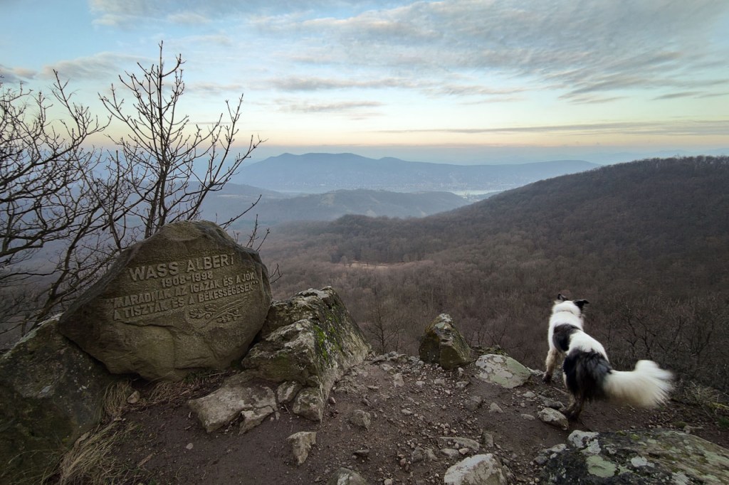 #554 • 2020. 03. 08. • Visegrád: Borjú-fő, Barát-halom, Hajlékos-bérc&nbsp;(Cimbivel)