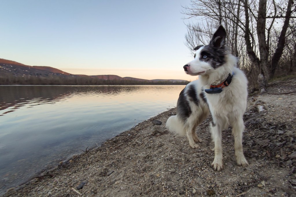 #555 • 2020. 03. 14. • Visegrád: Felső-öböl, Alsó-öböl, Kálvária&nbsp;(Cimbivel)