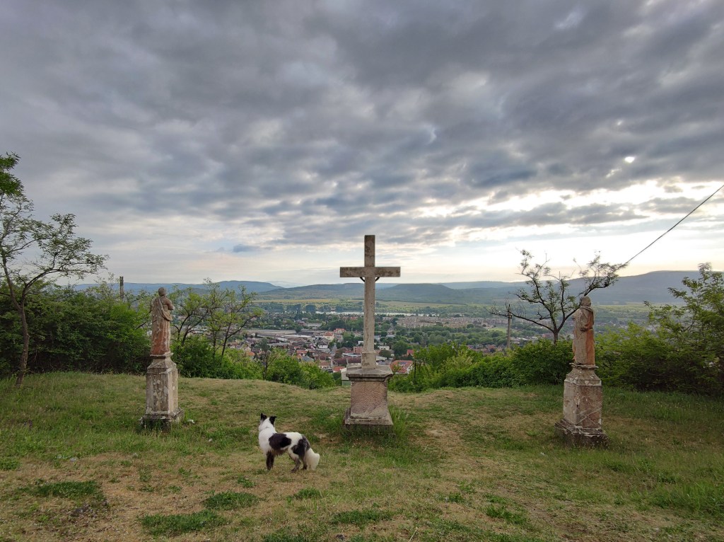#565 • 2020. 05. 25. • Dorog: Szarkási-dűlő, Baumit kőbánya&nbsp;(Cimbivel)