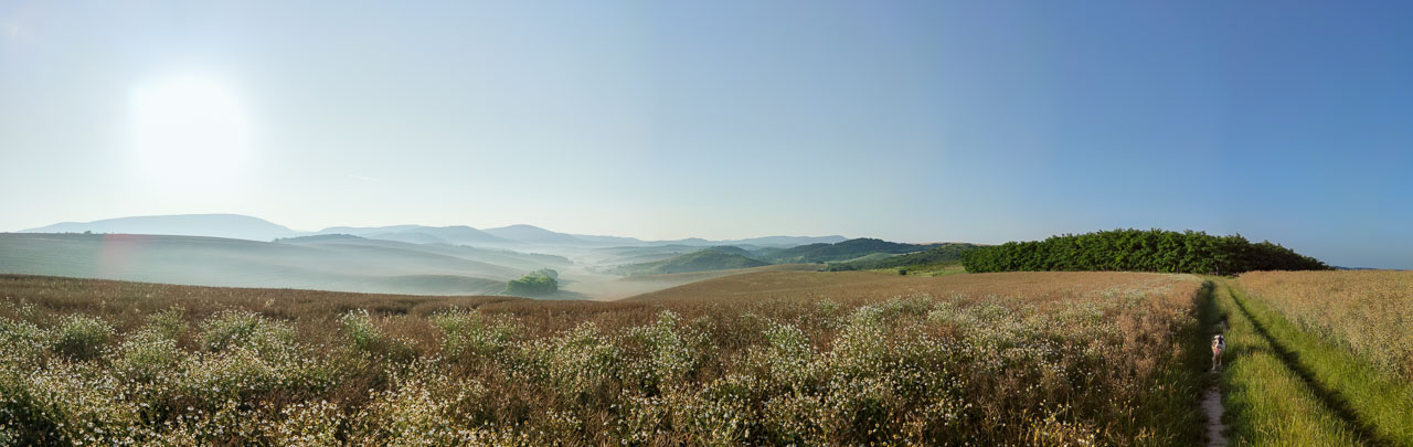 #570 • 2020. 06. 28. • Pilisjászfalu – Leányvár: Sas-hegy, Kerek-hegy – Úny – Tinnye: Nagy-kerék-hegy (Cimbivel)