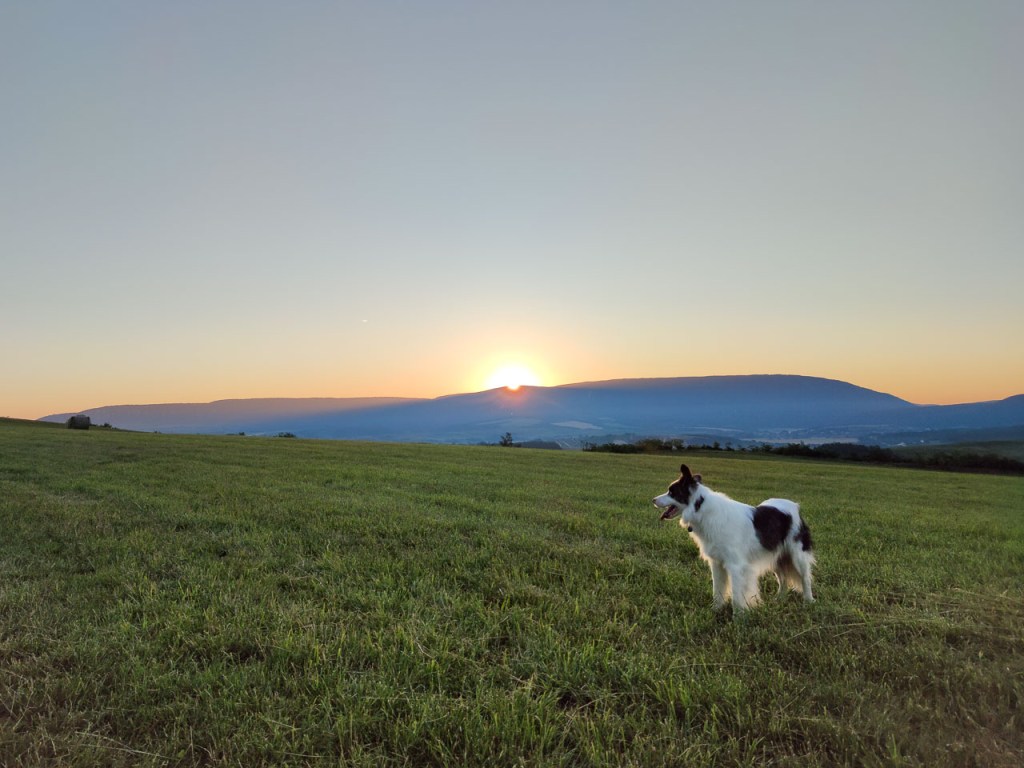 #571 • 2020. 07. 05. • Dág: Felső-Égett hegy, Juhász-hegy, Tűz-hegy, Száraz-hegy – Úny&nbsp;(Cimbivel)