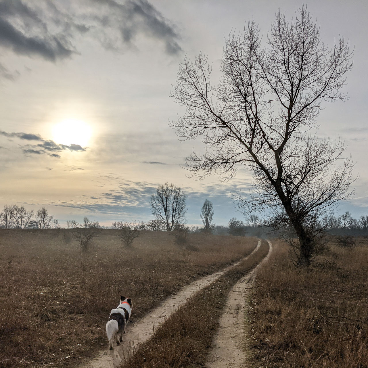 #597 • 2021. 01. 02. • Szigetmonostor (Cimbivel)