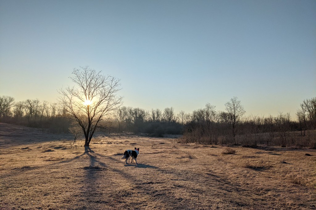 #606 • 2021. 03. 07. • Pócsmegyer: Surányi bányató, temető&nbsp;(Cimbivel)