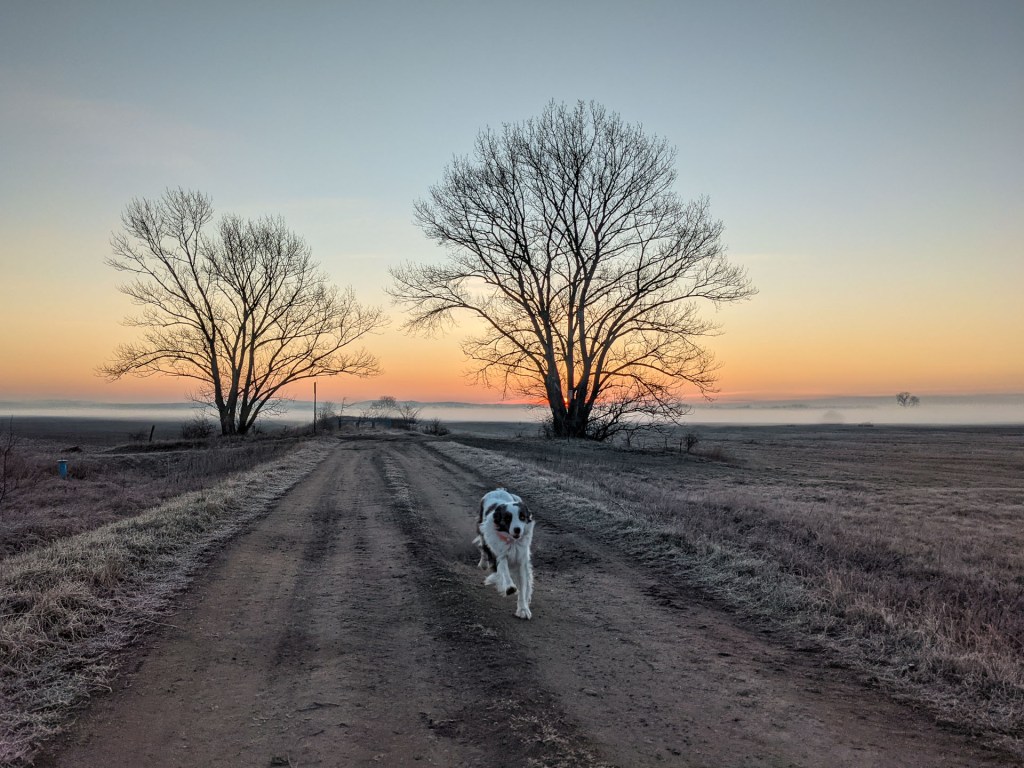 #607 • 2021. 03. 13. • Pócsmegyer&nbsp;(Cimbivel)