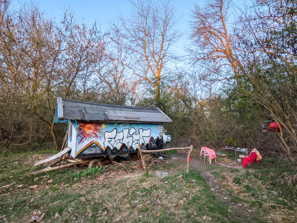 #610 • 2021. 04. 04. • Tahitótfalu&nbsp;(Cimbivel)