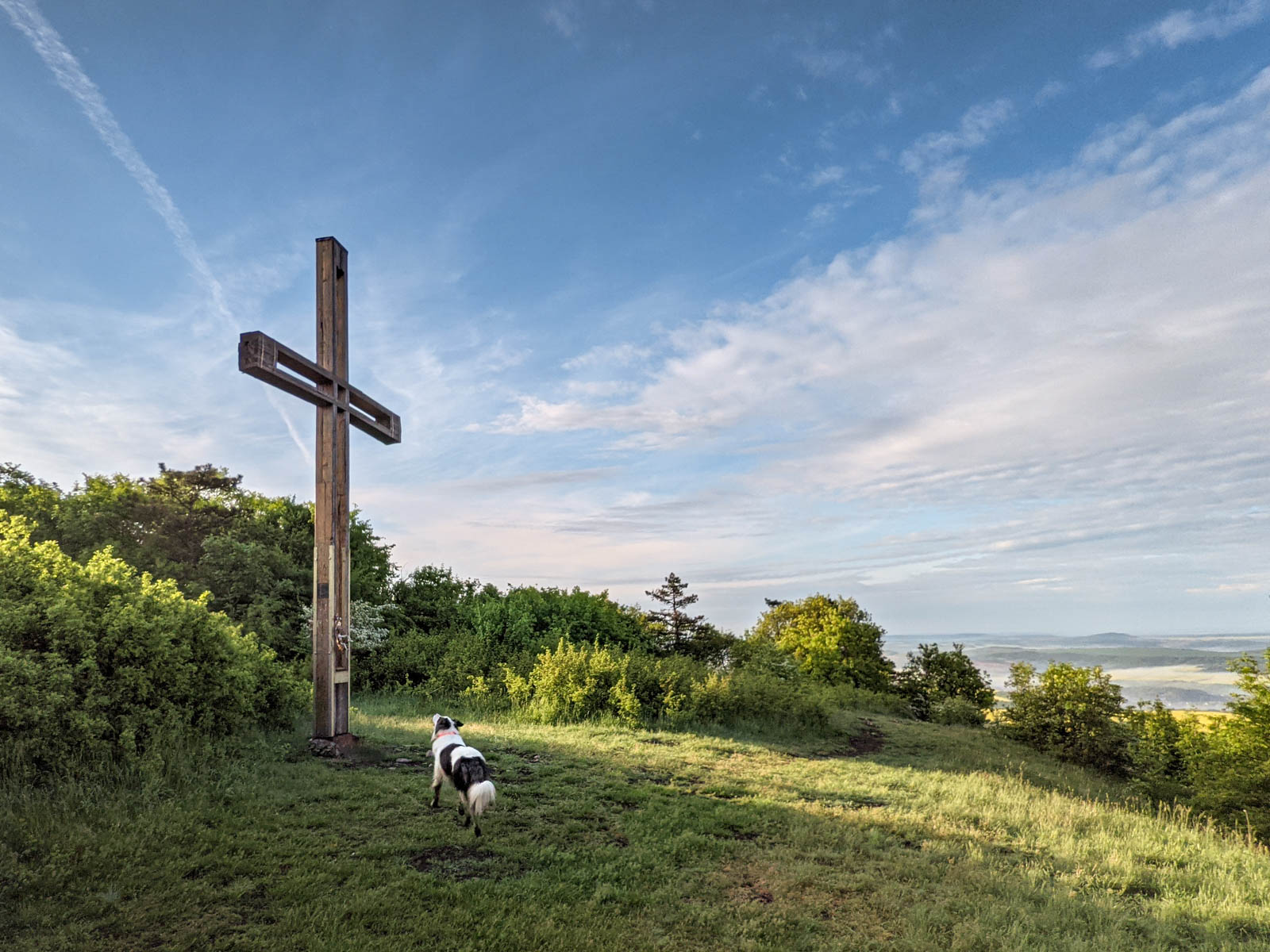 #616 • 2021. 05. 15. • Tokodaltáró: Kis-Gete – Csolnok: Nagy-Gete, Gete-hegy (Cimbivel)