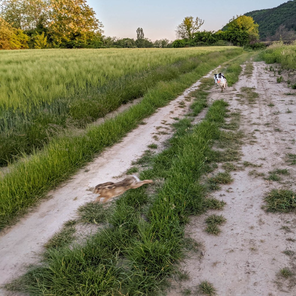 200×200 km projekt • 2021. 06. 05. • Csolnok – Tokod&nbsp;Cimbivel