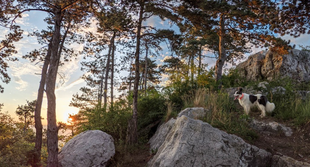 200×200 km projekt • 2021. 06. 26. • Tokod: Kis-kő, Hegyes-kő&nbsp;Cimbivel