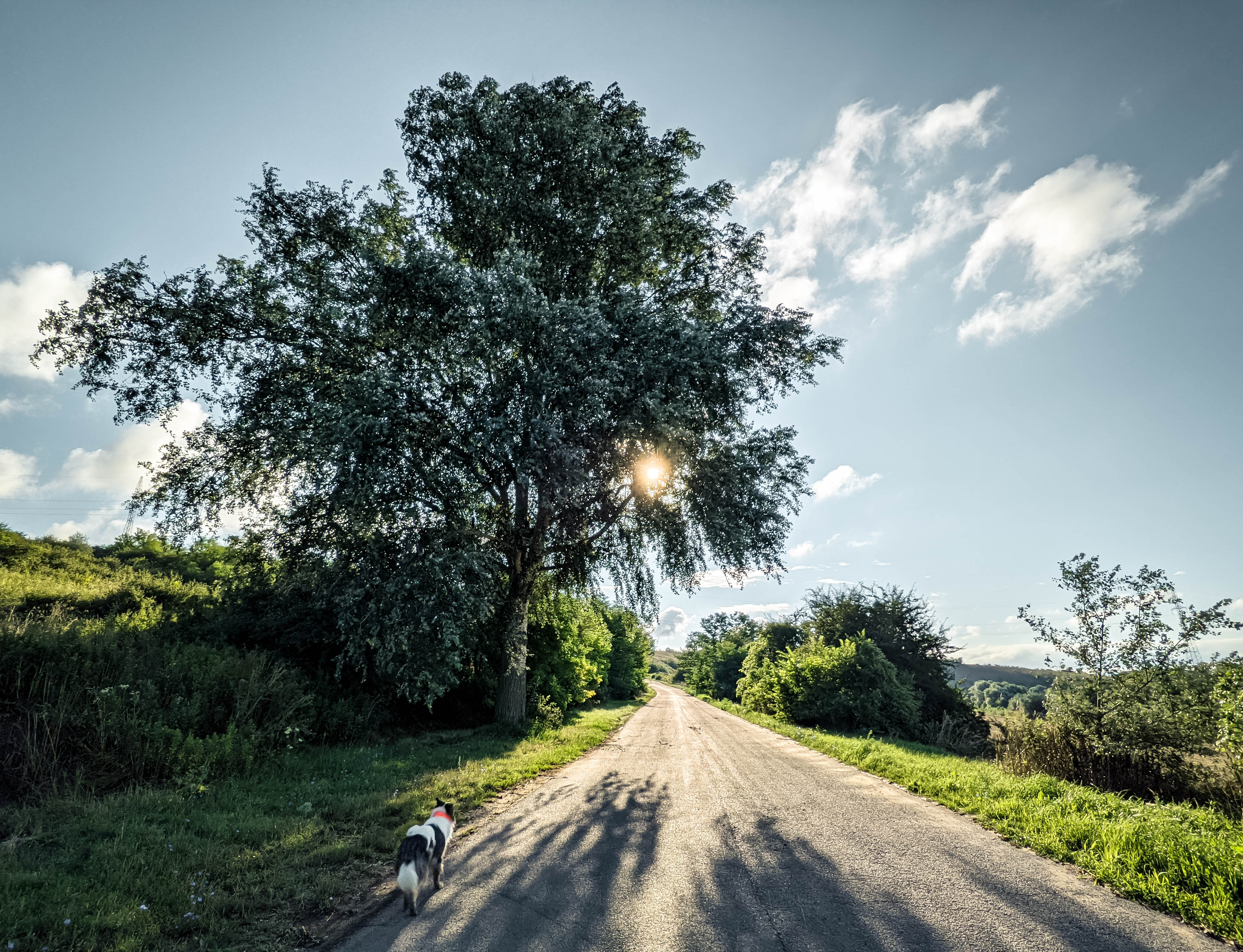200×200 km projekt • 2021. 08. 02. • Sárisáp – Annavölgy: Körtvélyes-hegy Cimbivel