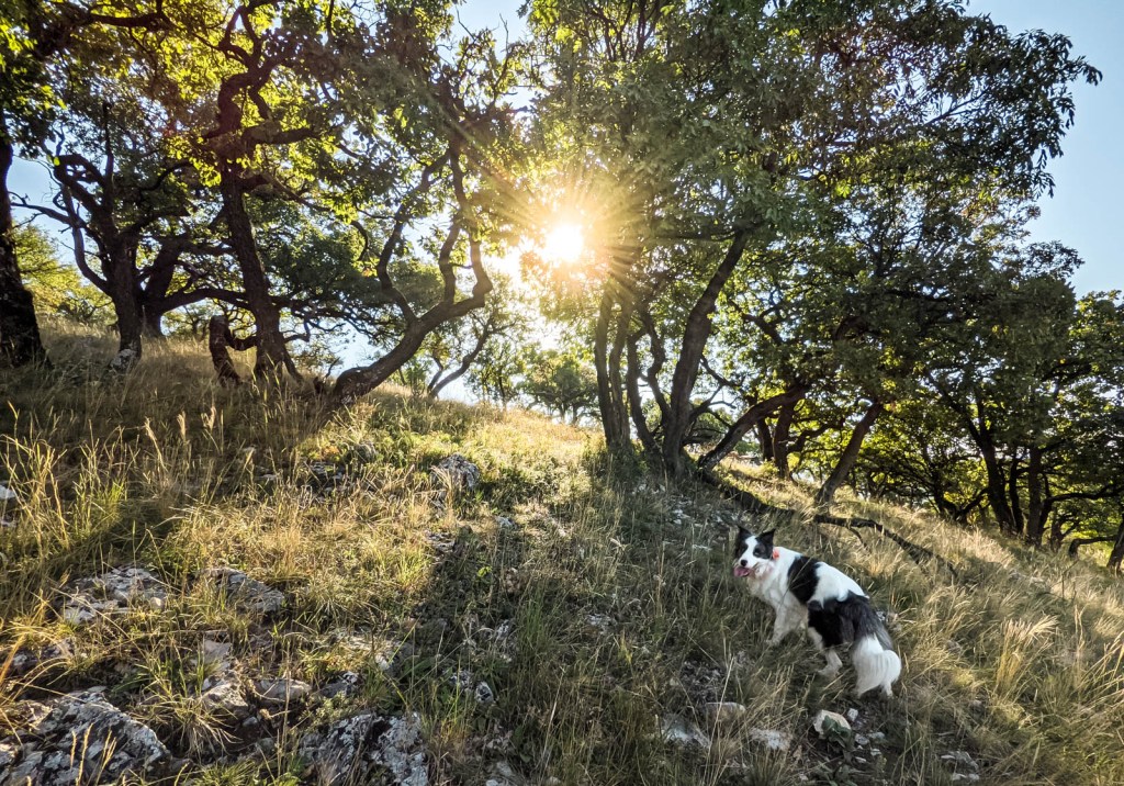 200×200 km projekt • 2021. 09. 11. • Süttő: Fekete-hegy, Zsidókalap, Asszony-hegy – Neszmély&nbsp;Cimbivel