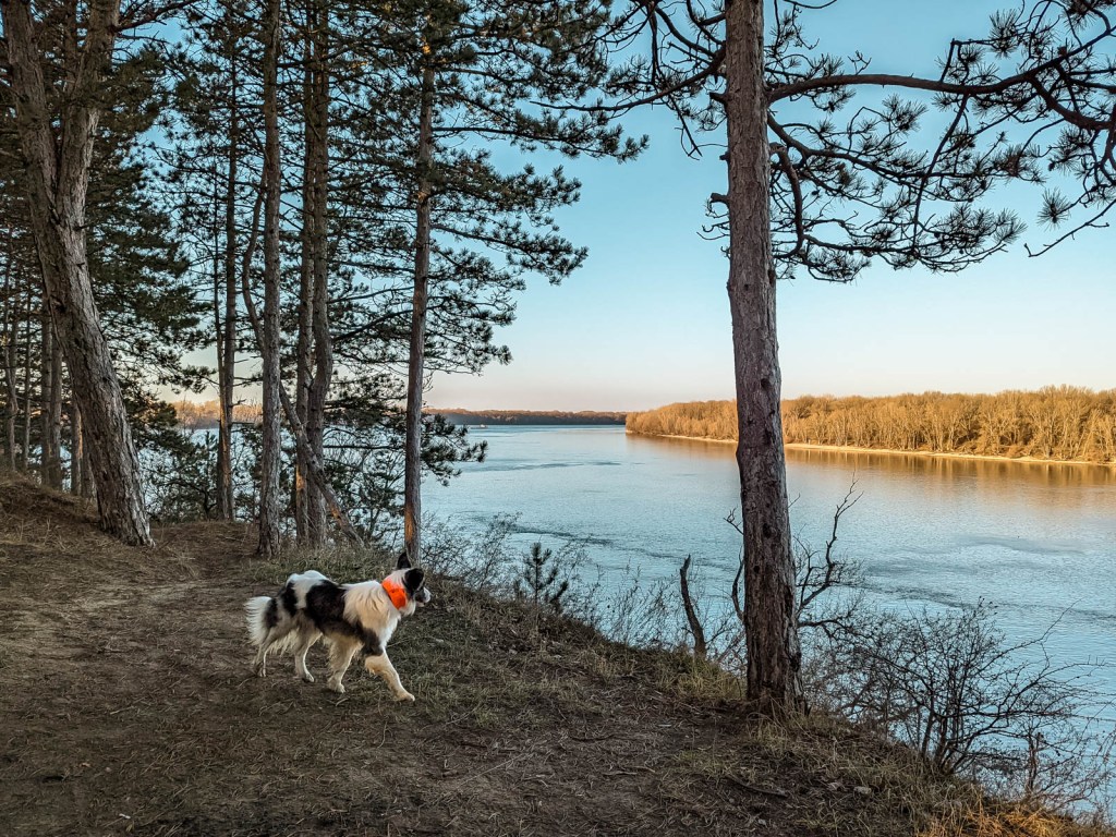 200×200 km projekt • 2021. 12. 18. • Komárom: Szent Pál sziget – Ács&nbsp;Cimbivel