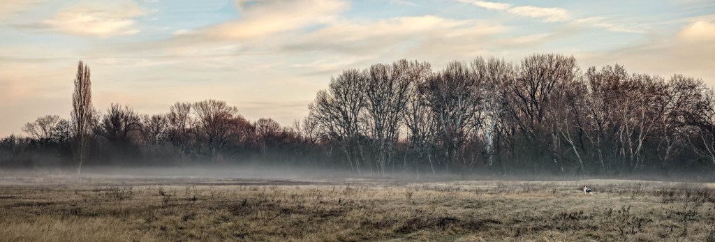 200×200 km projekt • 2022. 01. 02. • Ács&nbsp;Cimbivel