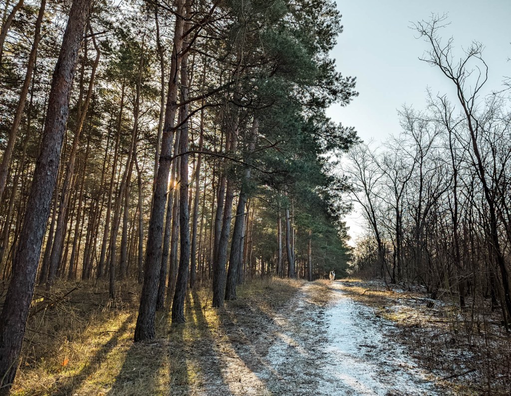 200×200 km projekt • 2022. 01. 29. • Komárom&nbsp;Cimbivel