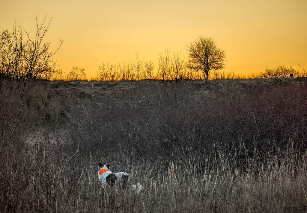 200×200 km projekt • 2022. 02. 12. • Komárom Csillagerőd, Bocska-tó&nbsp;Cimbivel