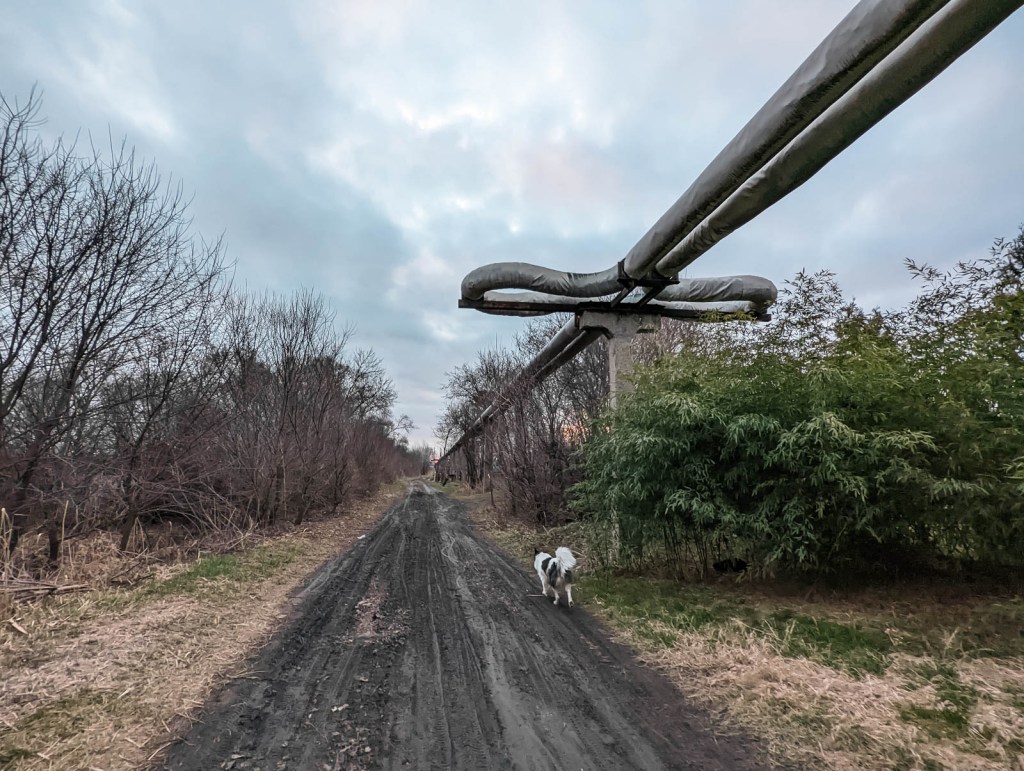 200×200 km projekt • 2022. 03. 06. • Almásfüzitő (Nagykolónia) – Komárom (Szőny)&nbsp;Cimbivel
