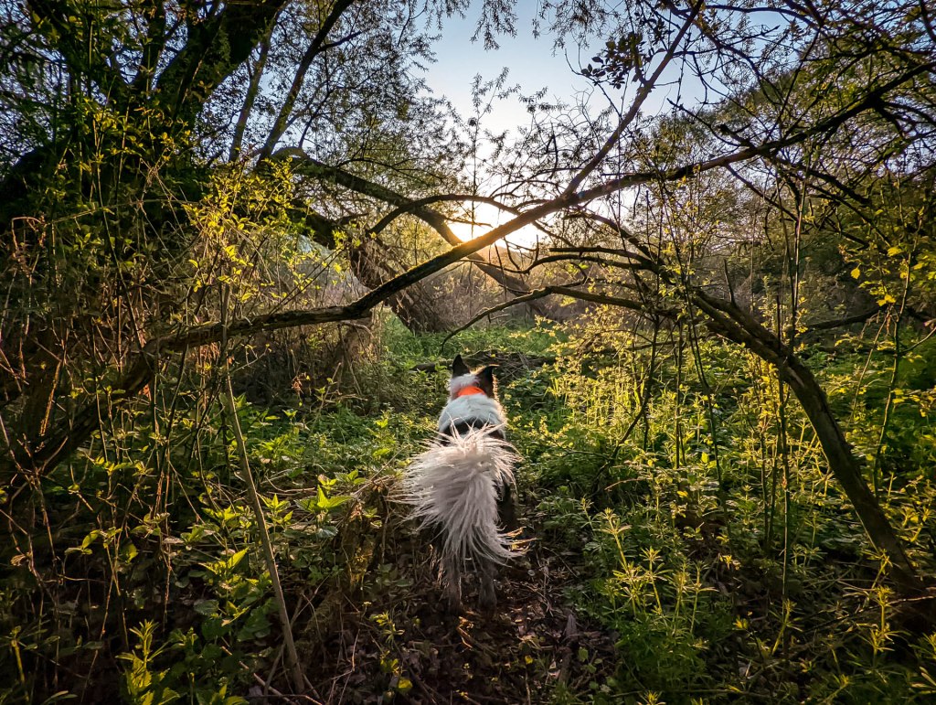 200×200 km projekt • 2022. 04. 30. • Pilisszántó – Pilisvörösvár&nbsp;Cimbivel