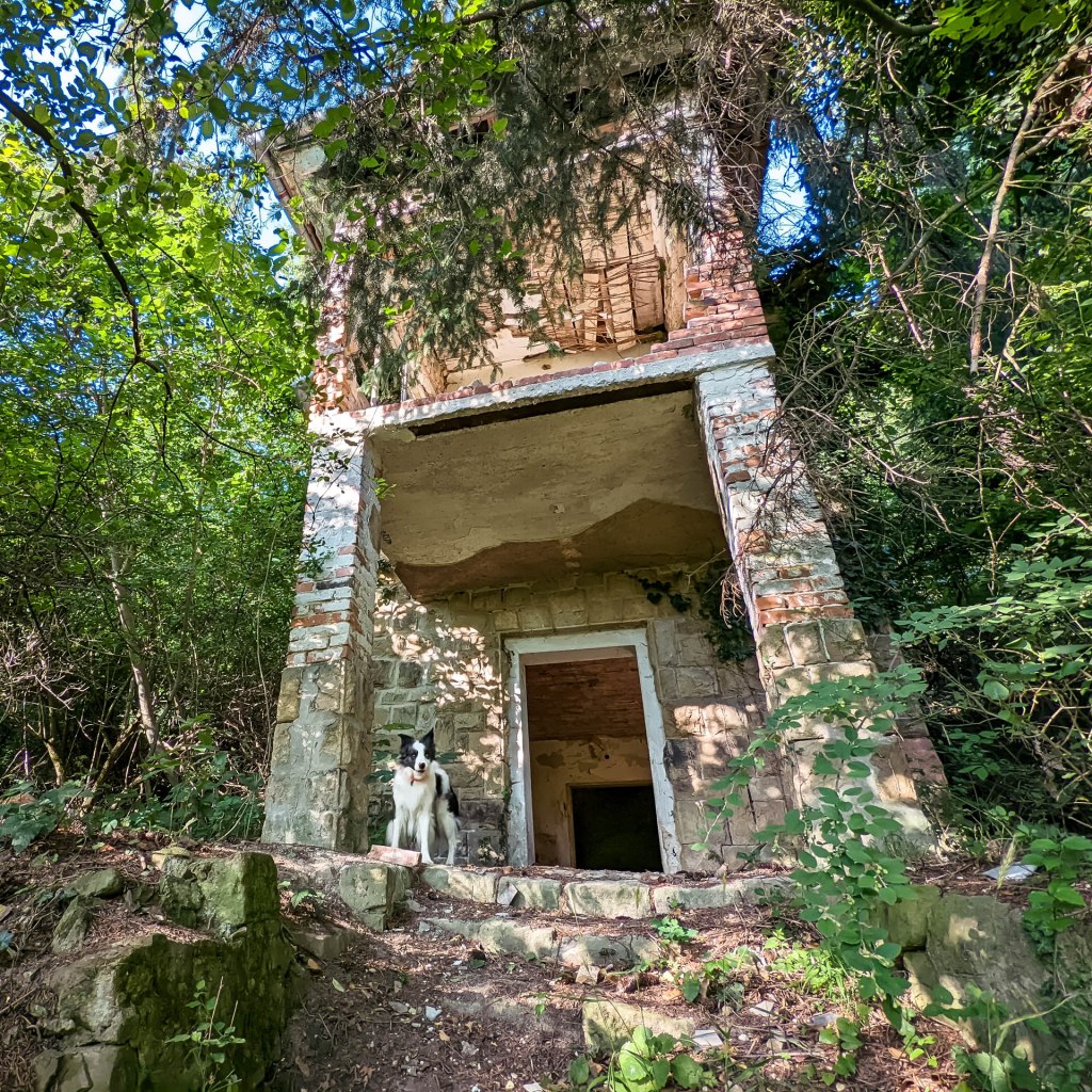 200×200 km projekt • 2022. 07. 03. • Pécs: Dömörkapu, Hideg-völgy Cimbivel (Mecsek&nbsp;#35)