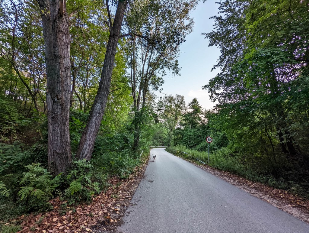 200×200 km projekt • 2022. 08. 27. • Neszmély&nbsp;Cimbivel