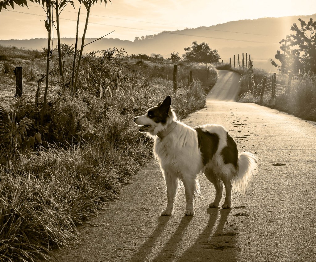200×200 km projekt • 2022. 10. 08. • Szomód: Új-hegy – Dunaszentmiklós&nbsp;Cimbivel