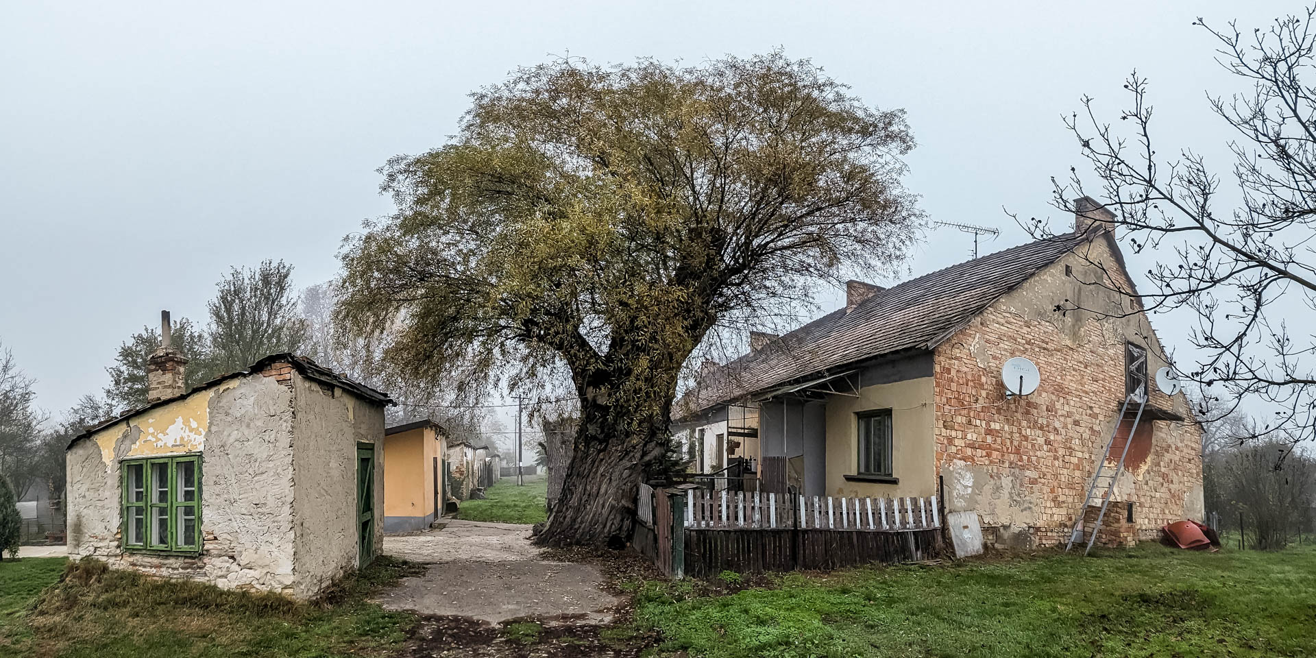 200×200 km projekt • 2022. 11. 12. • Baj – Tata Cimbivel