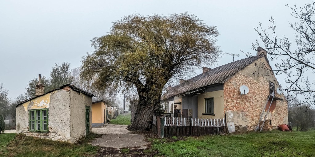 200×200 km projekt • 2022. 11. 12. • Baj – Tata&nbsp;Cimbivel