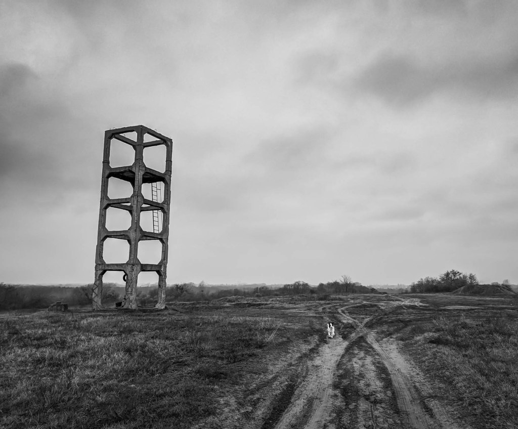 200×200 km projekt • 2022. 12. 03. • Vértesszőlős – Baj: Sánc-hegy&nbsp;Cimbivel