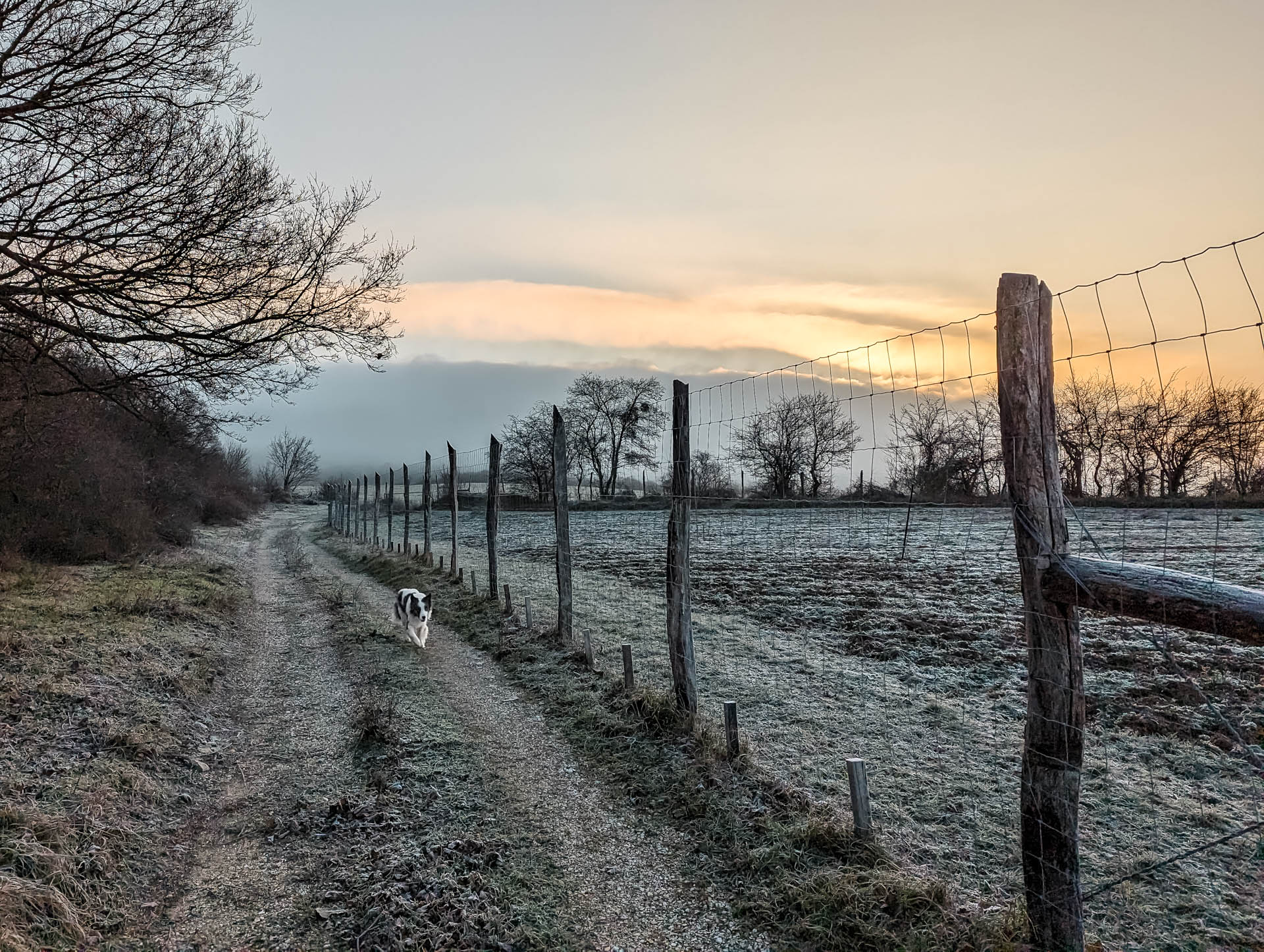 200×200 km projekt • 2022. 12. 18. • Vértesszőlős: előember-telep – Baj Cimbivel
