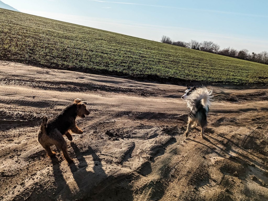 200×200 km projekt • 2023. 01. 07. • Vértesszőlős&nbsp;Cimbivel