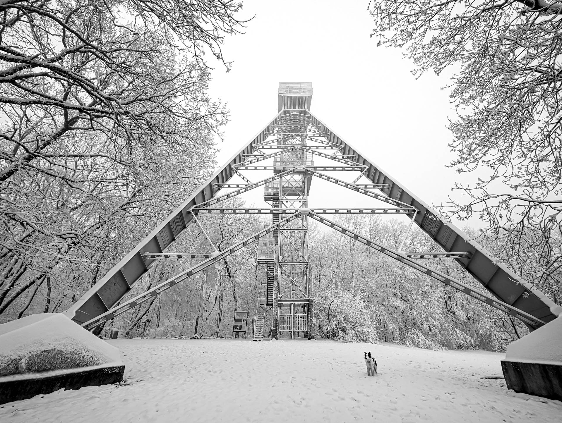 200×200 km projekt • 2023. 01. 21. • Tatabánya: Öreg-hegy, Csúcsos-hegy – Vértesszőlős Cimbivel