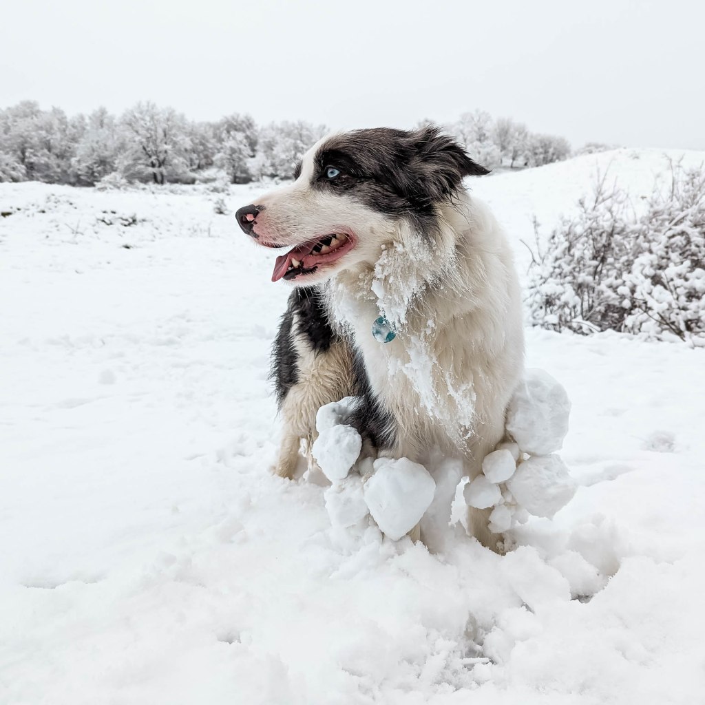 200×200 km projekt • 2023. 02. 26. • Óbánya – Váralja Cimbivel (Mecsek&nbsp;#37)