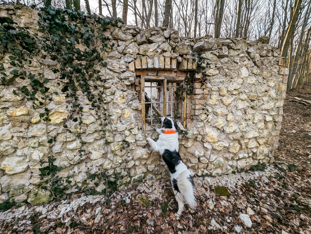 200×200 km projekt • 2023. 03. 18. • Vértestolna: János-hegy – Tardos – Baj&nbsp;Cimbivel
