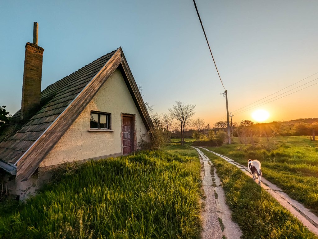200×200 km projekt • 2023. 04. 23. • Süttő Cimbivel