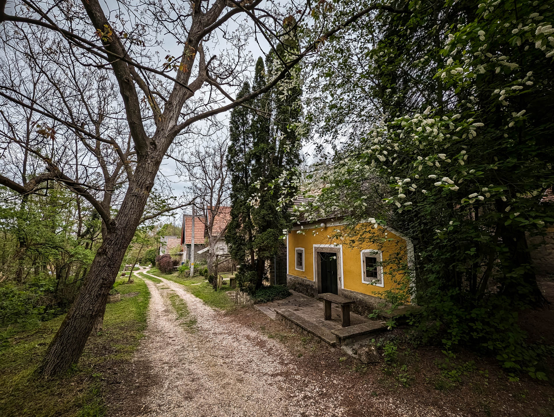 200×200 km projekt • 2023. 04. 29. • Süttő – Lábatlan Cimbivel