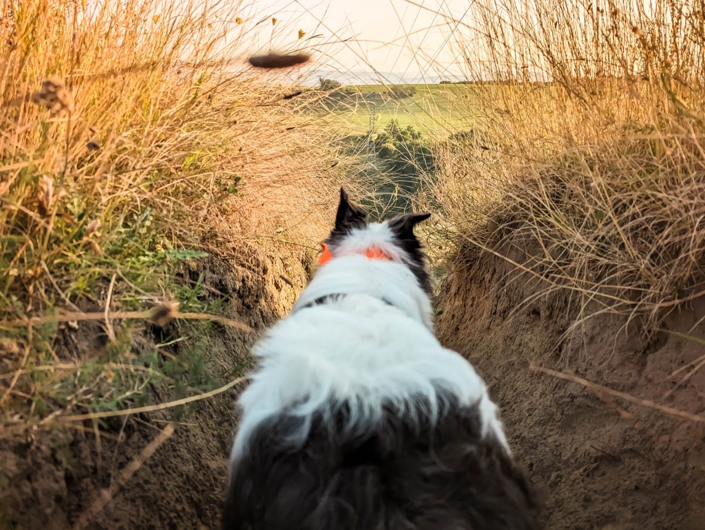 200×200 km projekt • 2023. 08. 26. • Tokod: Dank-hegy – Tokodaltáró: Les-hegy, Cigány-hegy&nbsp;Cimbivel
