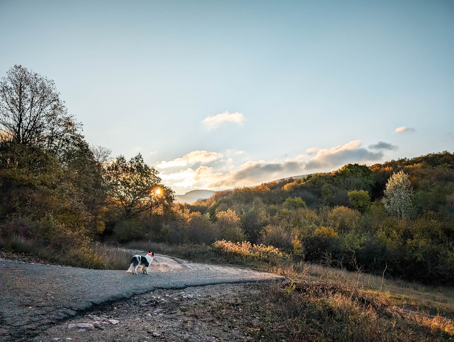 200×200 km projekt • 2023. 11. 18. • Süttő: Agyagos-hegy – Lábatlan: Margit-tető Cimbivel