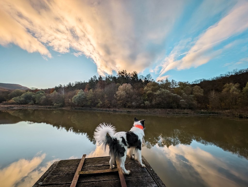 200×200 km projekt • 2023. 11. 25. • Süttő: Pap-rét, Ragály-völgy – Lábatlan&nbsp;Cimbivel
