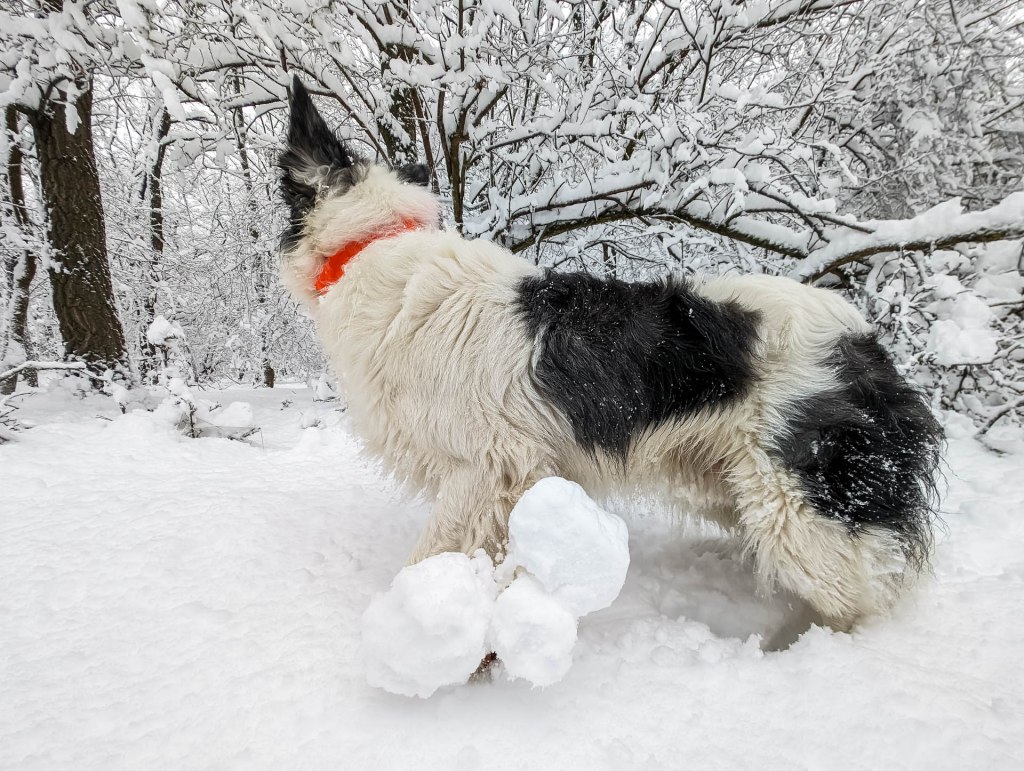 200×200 km projekt • 2023. 12. 23. • Tatabánya: Sárga-domb, Veres-hegy, Kopasz-hegy – Vértestolna&nbsp;Cimbivel