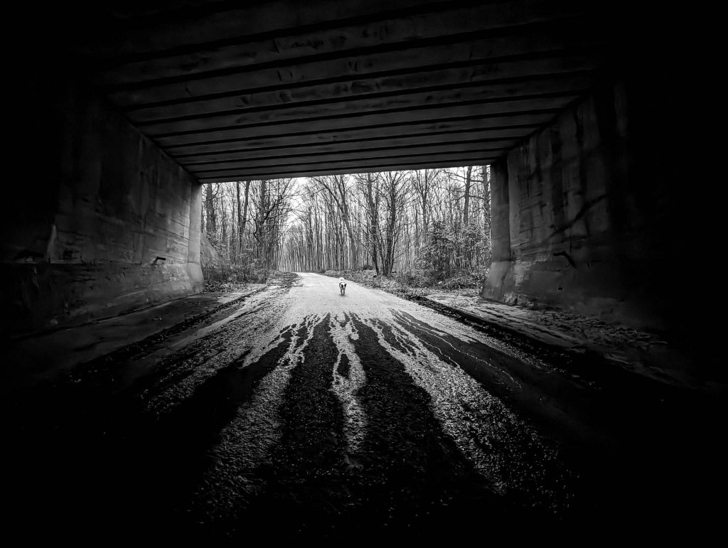 200×200 km projekt • 2024. 01. 06. • Tatabánya: Irtás-hegy – Vértestolna&nbsp;Cimbivel