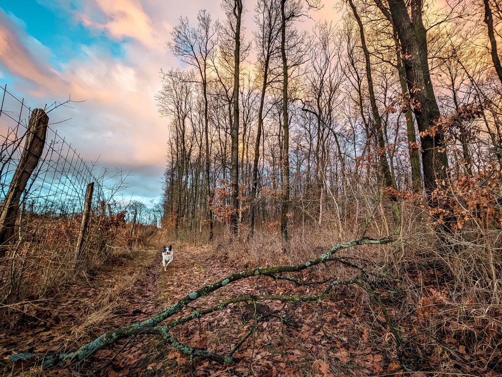 200×200 km projekt • 2024. 01. 27. • Tarján – Vértestolna&nbsp;Cimbivel