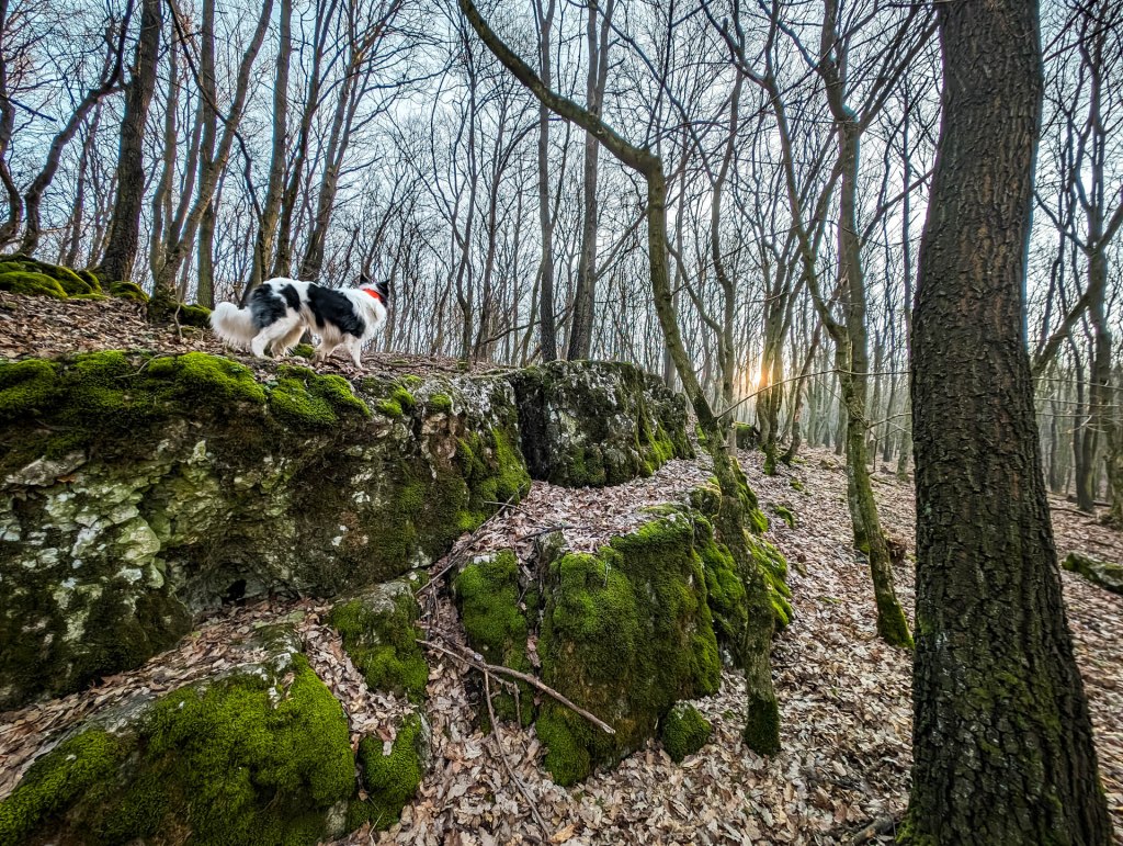 200×200 km projekt • 2024. 02. 17. • Vértestolna&nbsp;Cimbivel