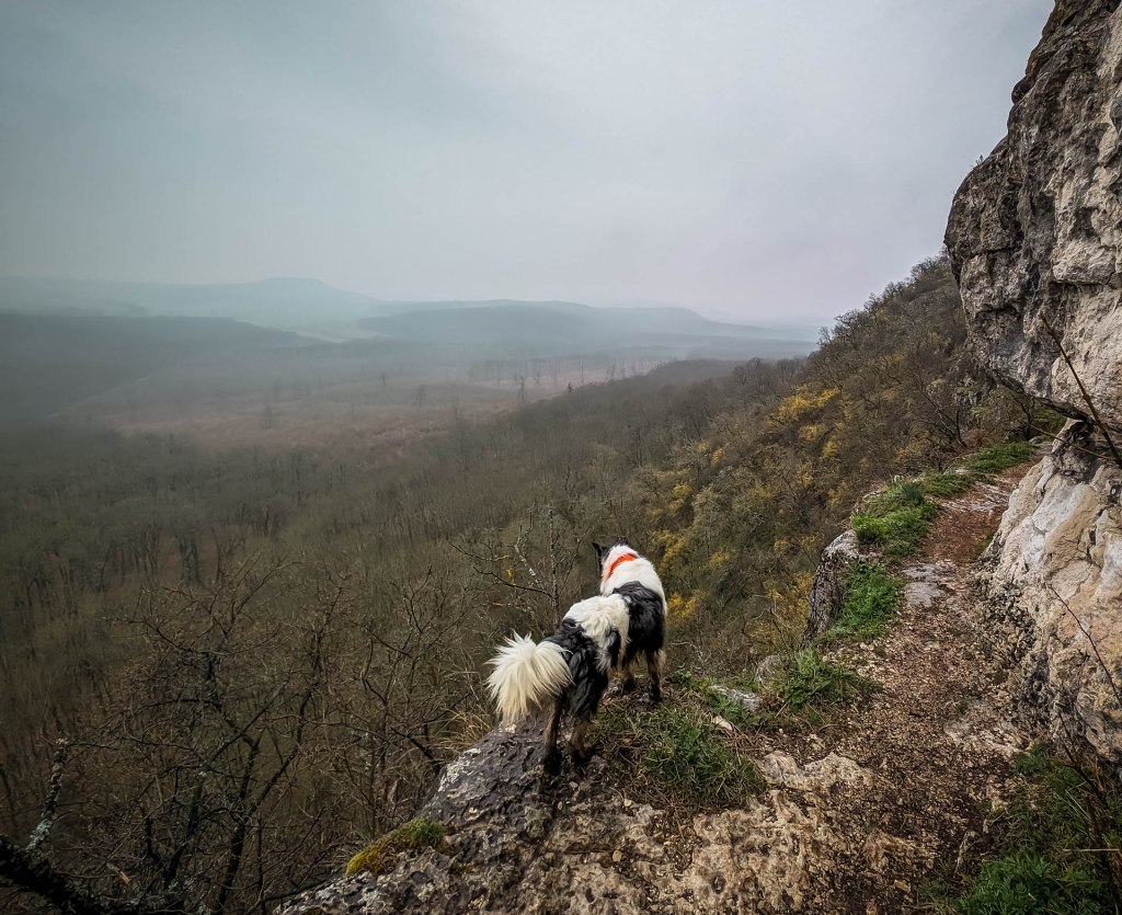 200×200 km projekt • 2024. 03. 02. • Vértestolna: Peskő-hegy, Peskő-barlang&nbsp;Cimbivel