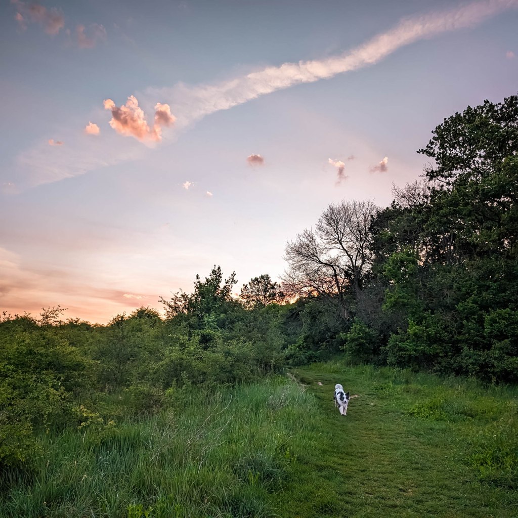 200×200 km projekt • 2024. 05. 04–05. • Budapest: Hármashatárhegyi repülőtér, Kővár + Budapest: Népsziget, Palotai-sziget&nbsp;Cimbivel