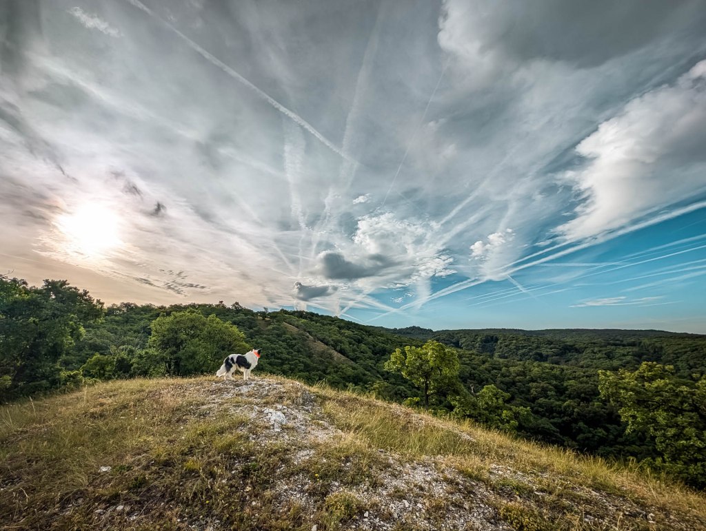200×200 km projekt • 2024. 07. 06. • Piliscsaba: Perem-hegy – Perbál – Nagykovácsi&nbsp;Cimbivel