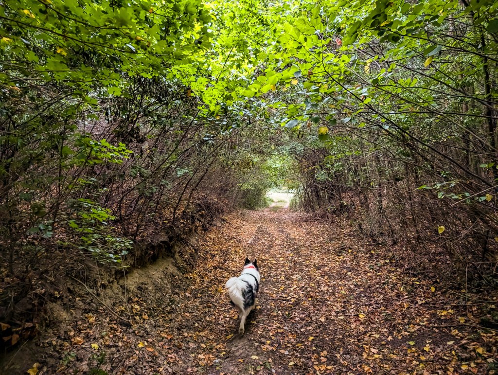 200×200 km projekt • 2024. 08. 03. • Nyergesújfalu – Bajót&nbsp;Cimbivel